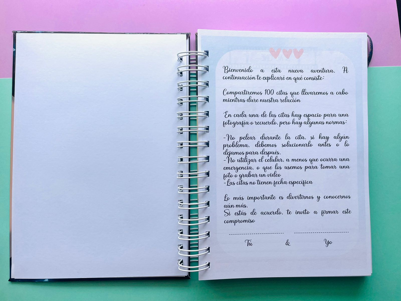 Diario 100 Citas